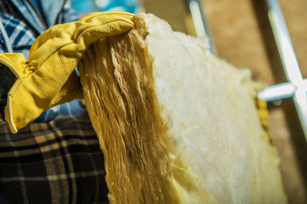 Trusted Baxter, MN Insulation Contractor Experts